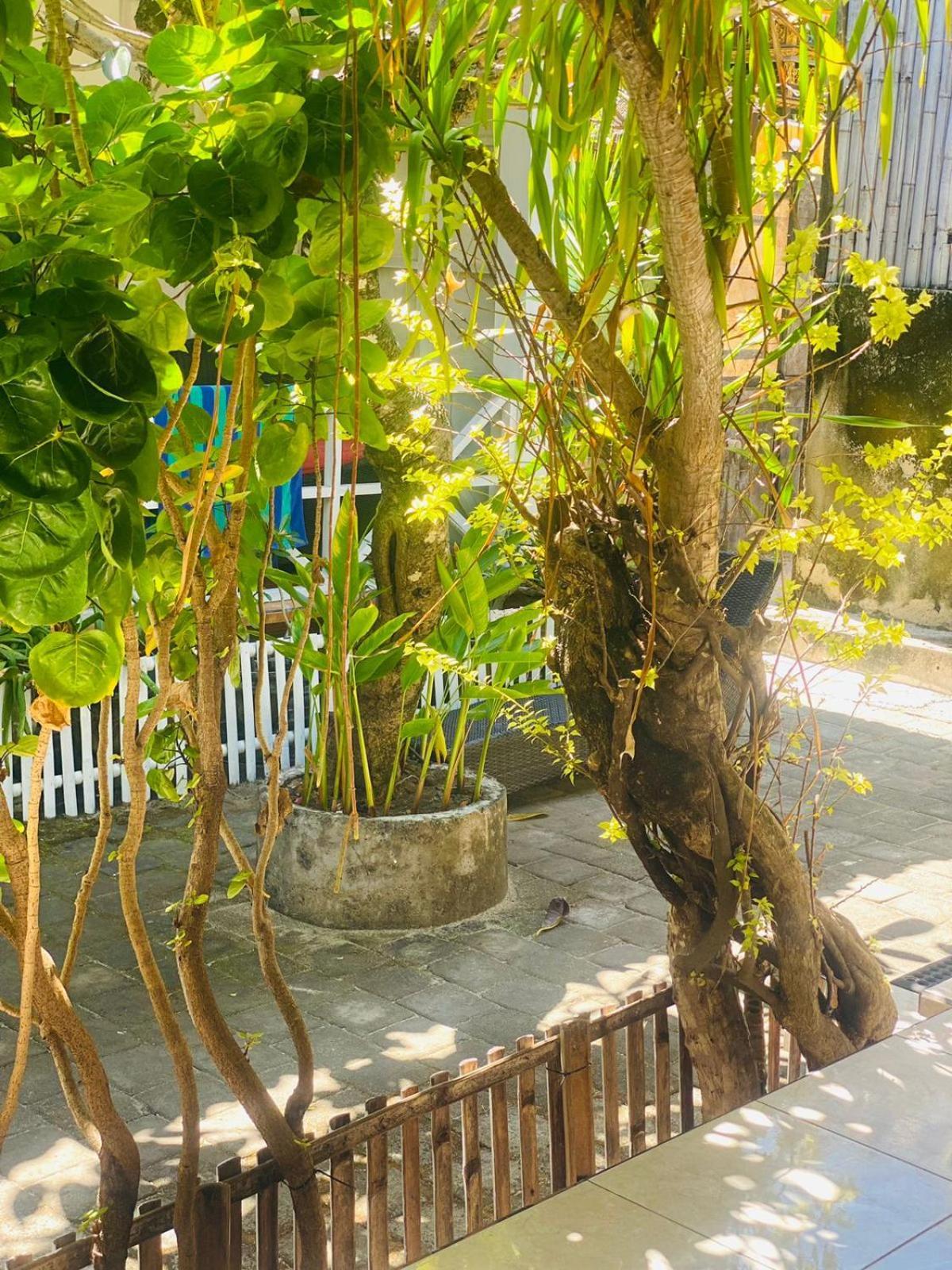 Tarci Bungalows Lembongan Нуса-Лембонган Экстерьер фото